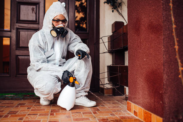 Reliable Bed Bug Control contractor in Marshfield Hills, MA by Nex Pest Control