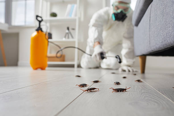 Trusted Cockroach Control service in Marshfield Hills, MA - Nex Pest Control