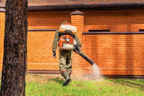 Trusted Rodent Control service in Marshfield Hills, MA - Nex Pest Control